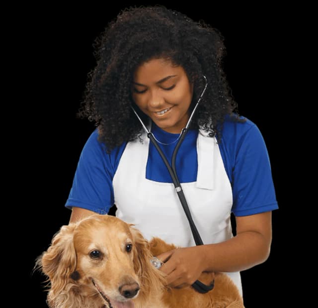 Profissional do curso auxiliar-de-pet-shop