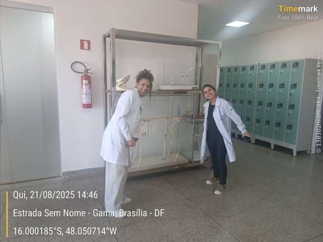 Grau