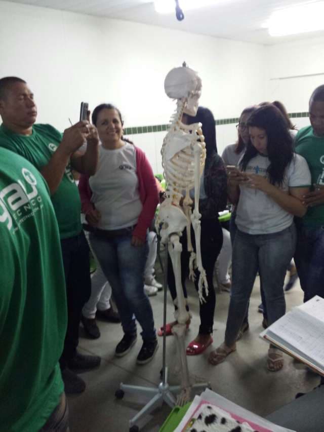 Grau