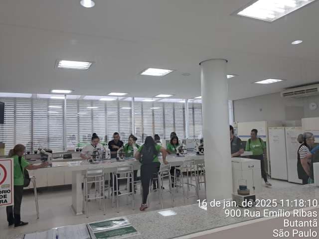 Grau